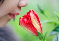 Girl smelling flower